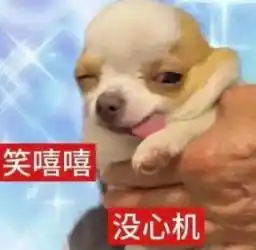 元认知