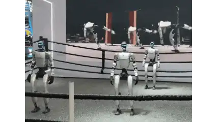机器人