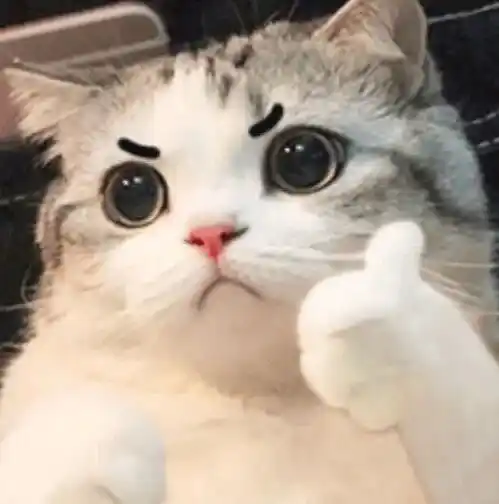 王虹