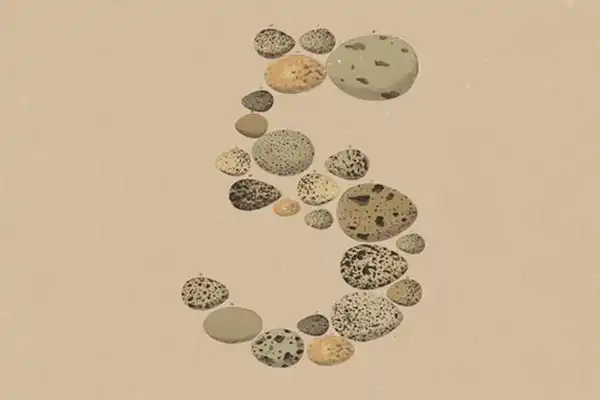 Anthropic,Claude Opus 5,大模型