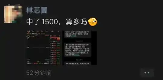 国产替代