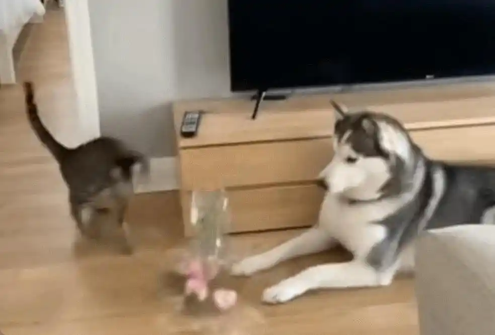 英伟达