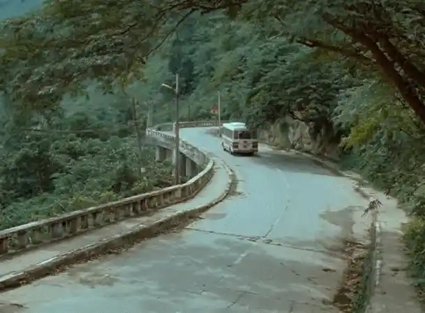 英伟达