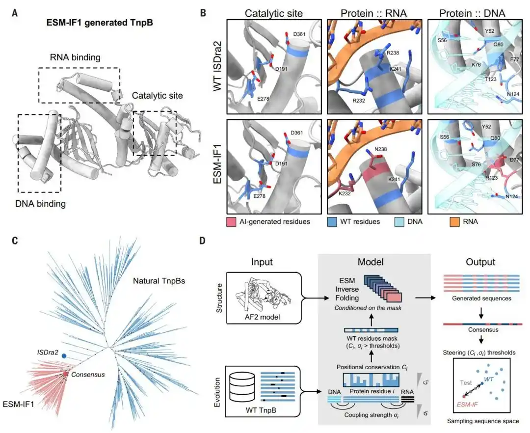 CRISPR