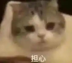 应届毕业生