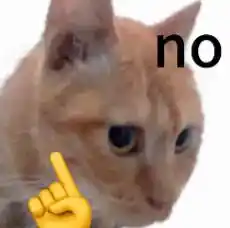 应届毕业生