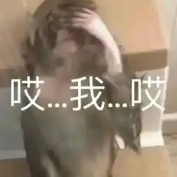 应届毕业生