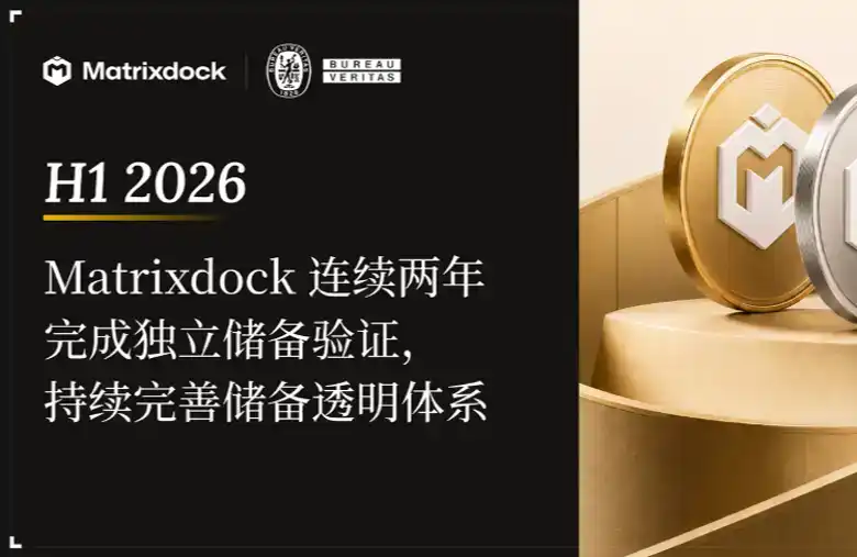 Matrixdock,必维国际检验集团,RWA