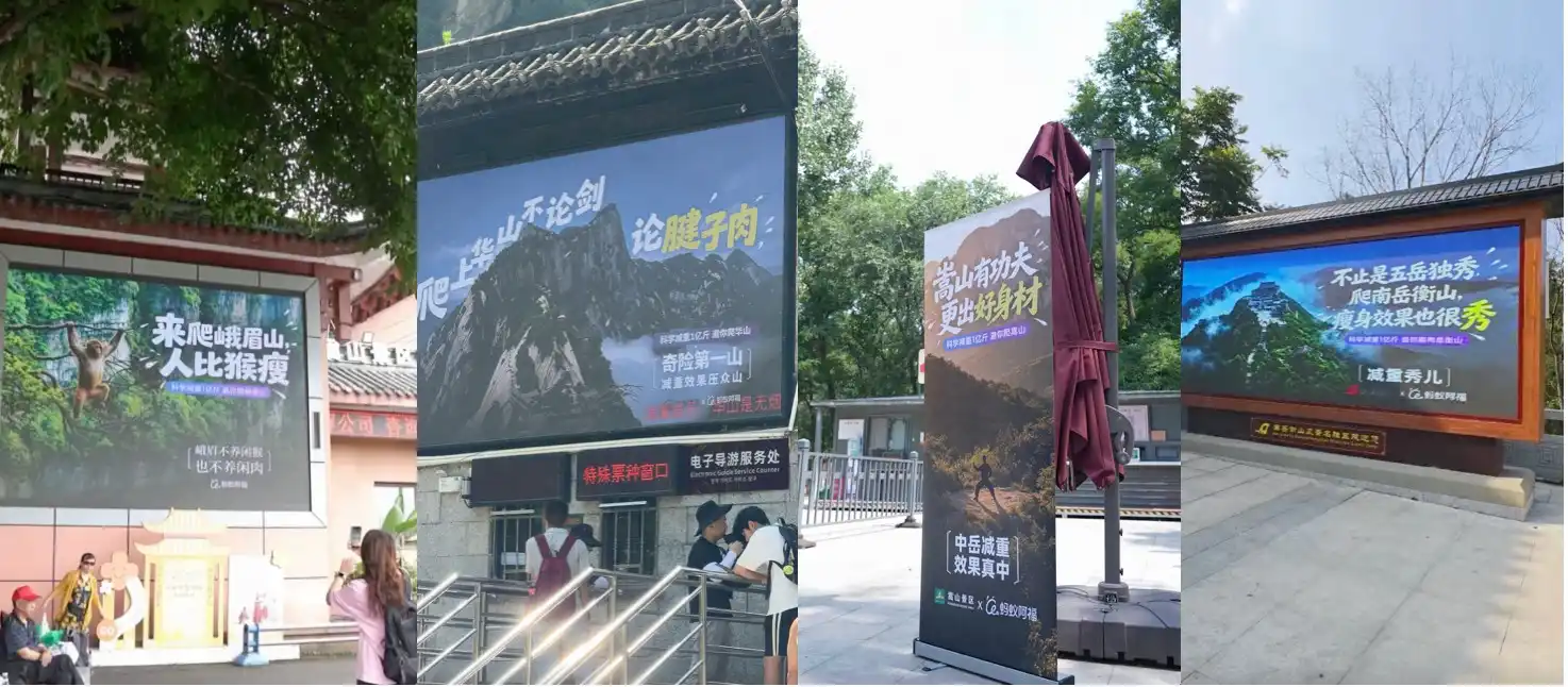 科学减重