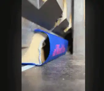 版权诉讼