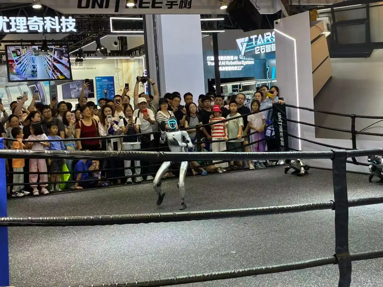 人形机器人
