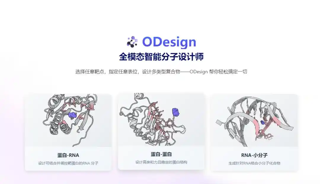 蛋白质结构预测