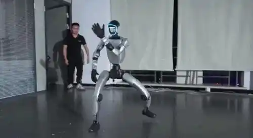 人形机器人
