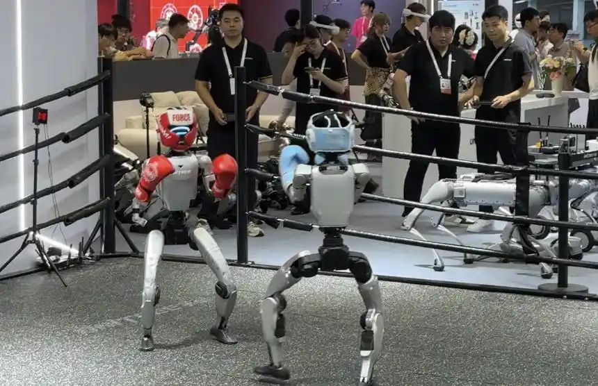 人形机器人