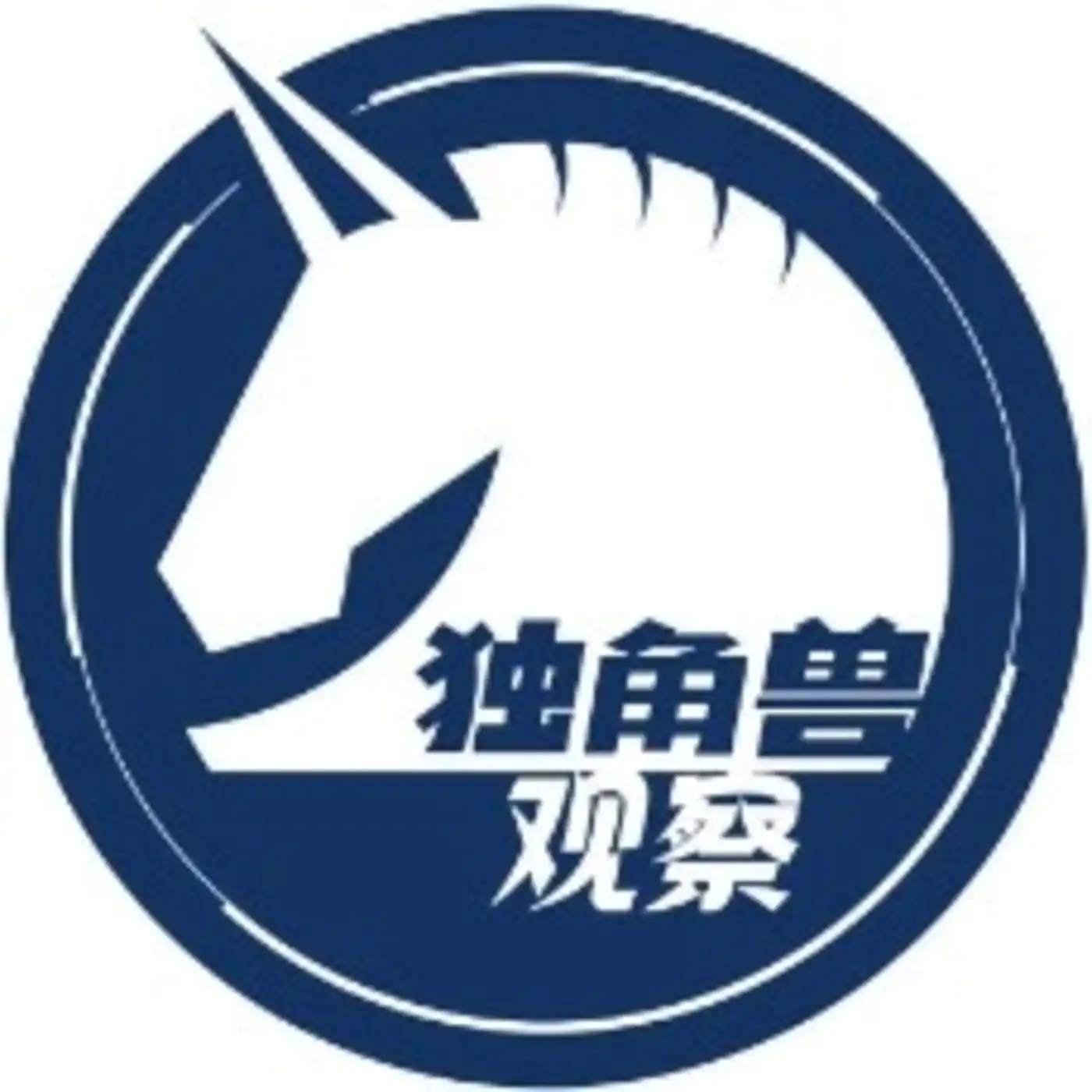 独角兽观察
