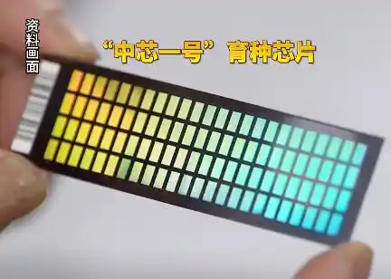 中芯一号