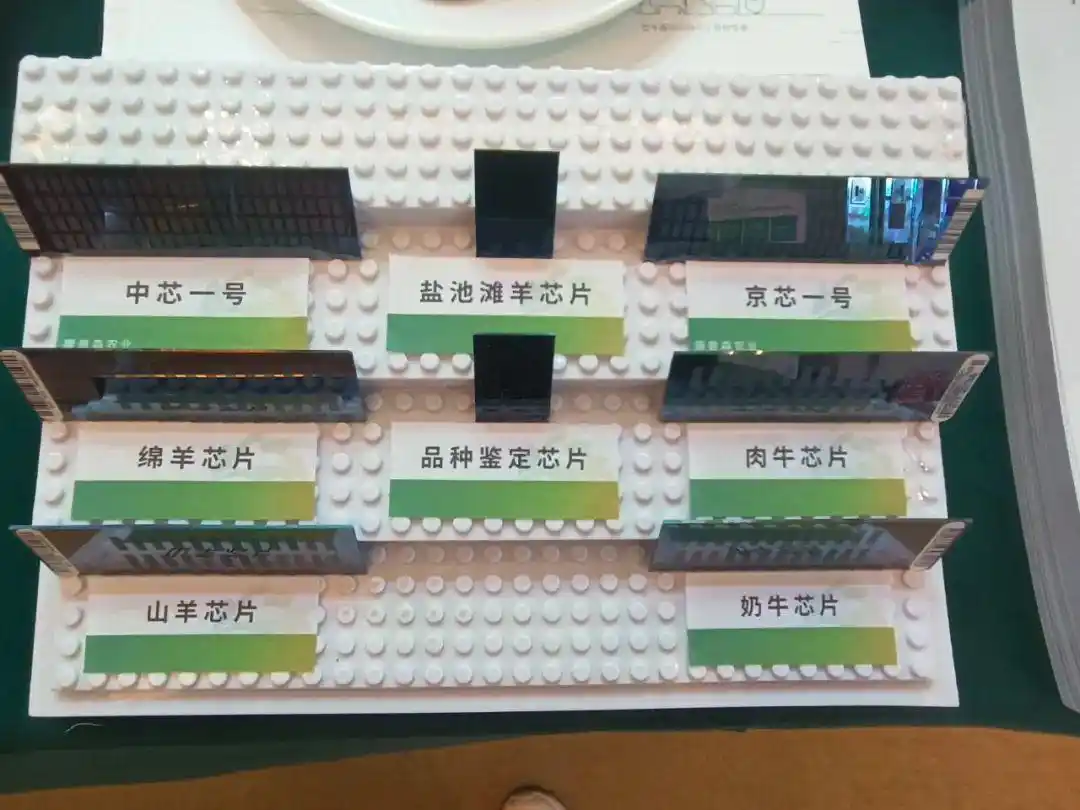中芯一号