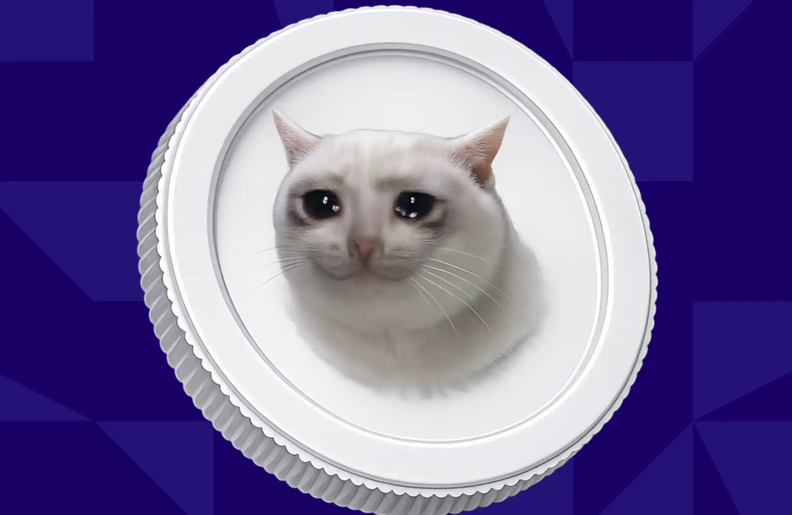 Robinhood链,Bitstamp,$CASHCAT