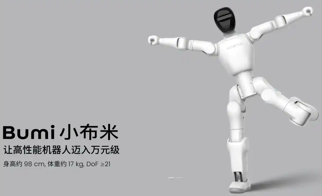 人形机器人