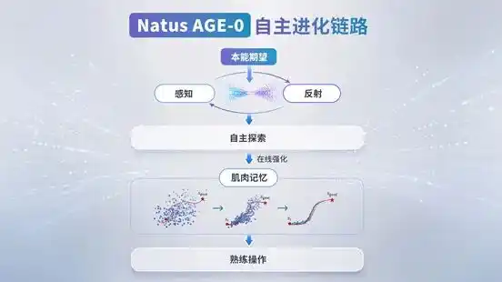 橡木果机器人