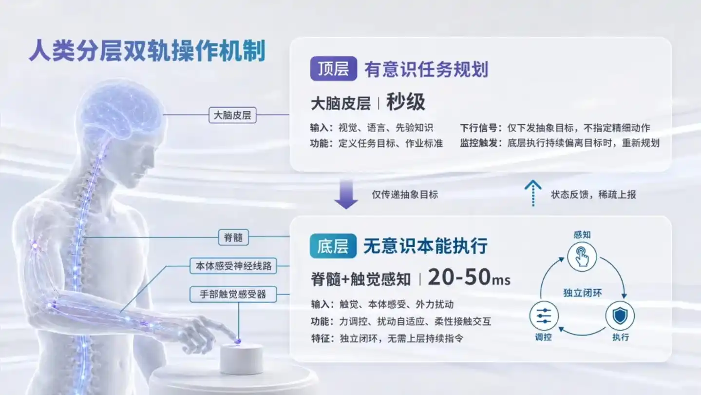 橡木果机器人