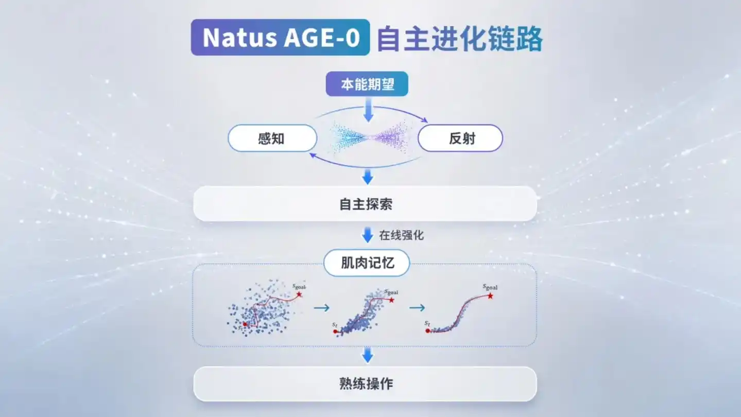 橡木果机器人