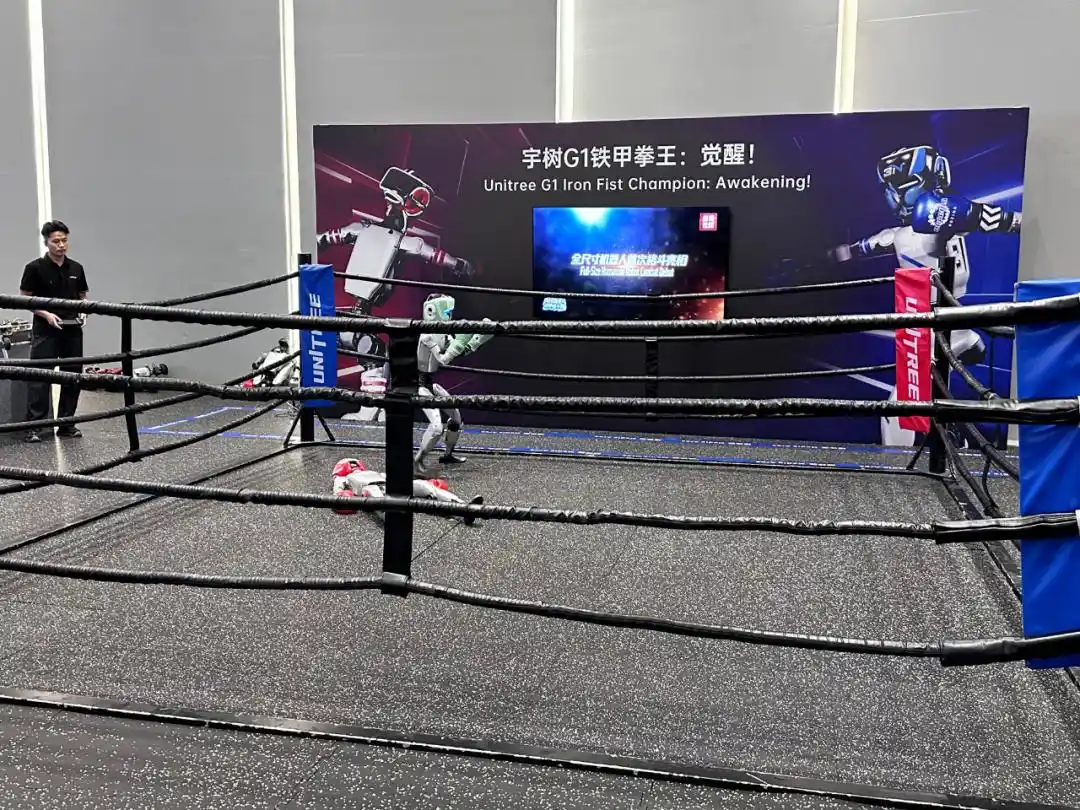 人形机器人