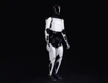 人形机器人