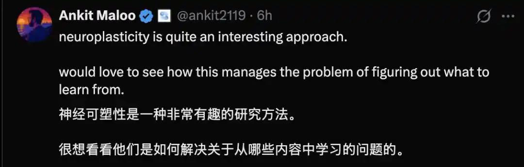 英伟达