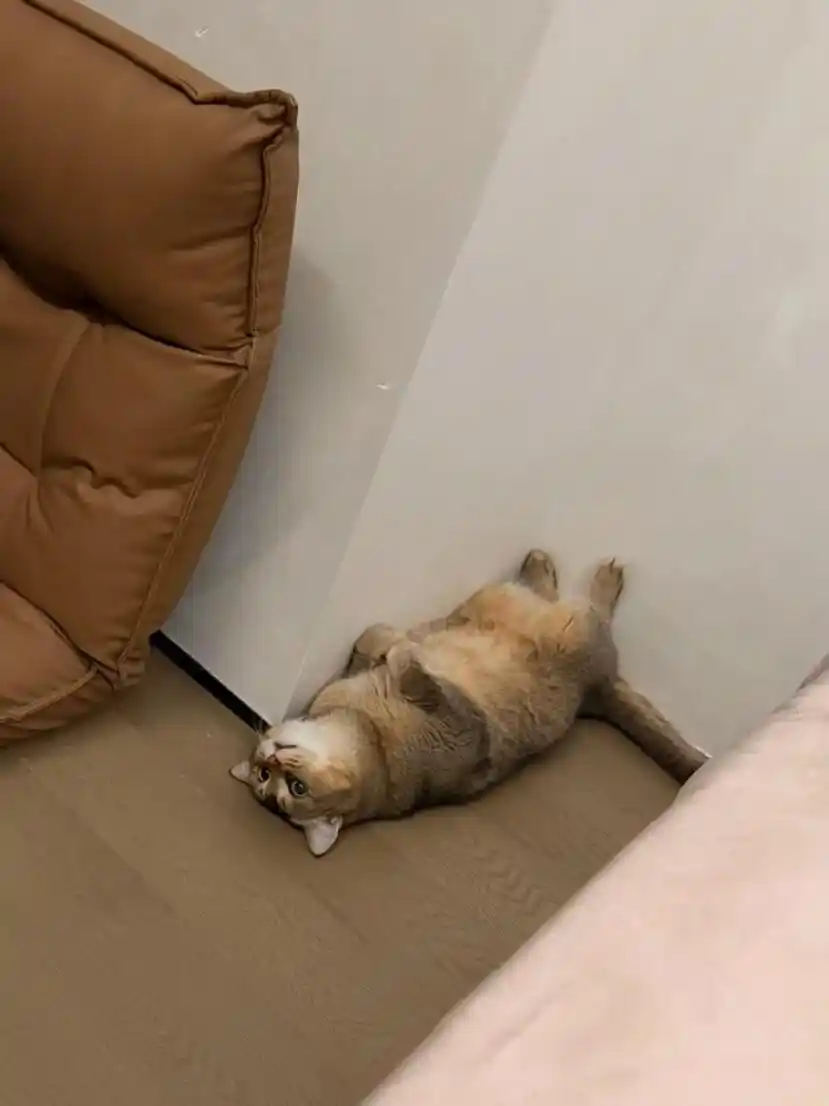 打工人