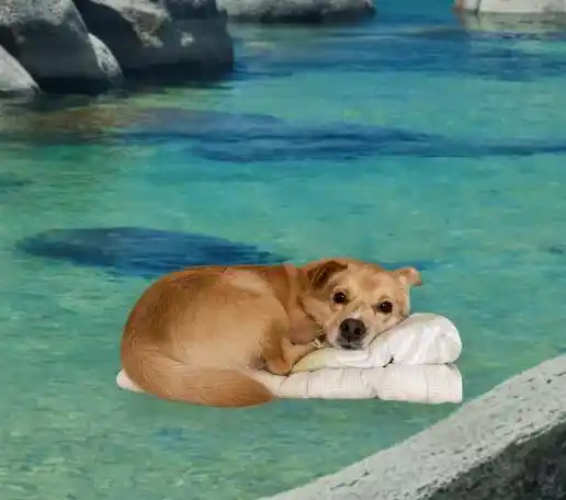 打工人