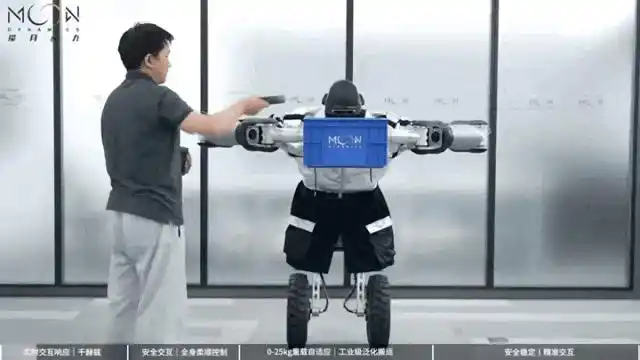 人形机器人