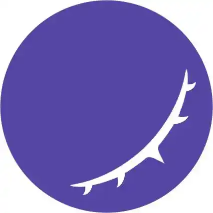 DeepSeek