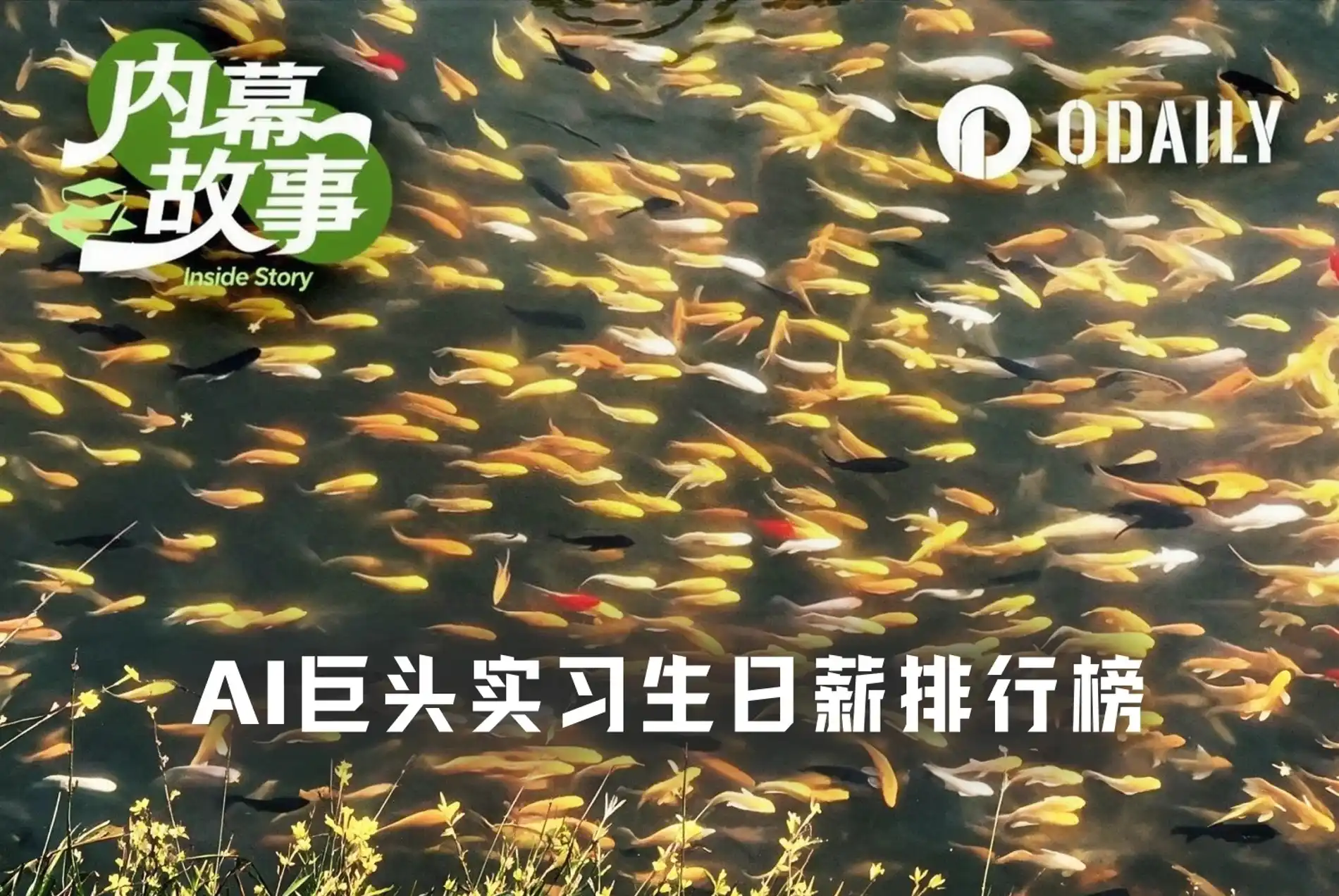 Anthropic,字节跳动,Kimi