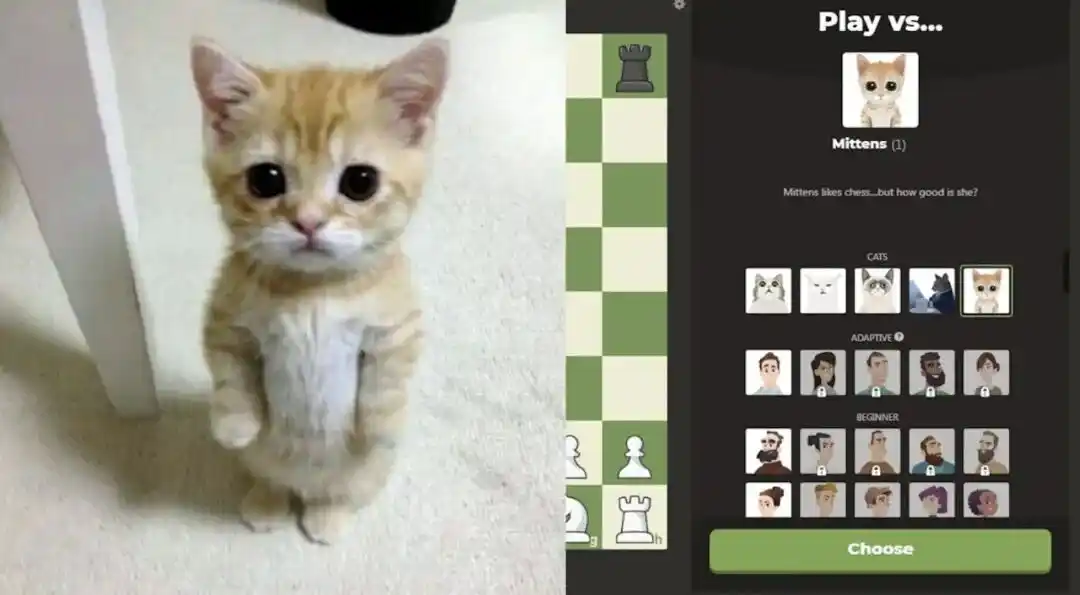 国际象棋