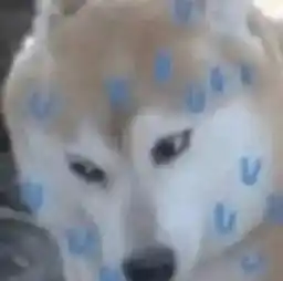 AI诈骗