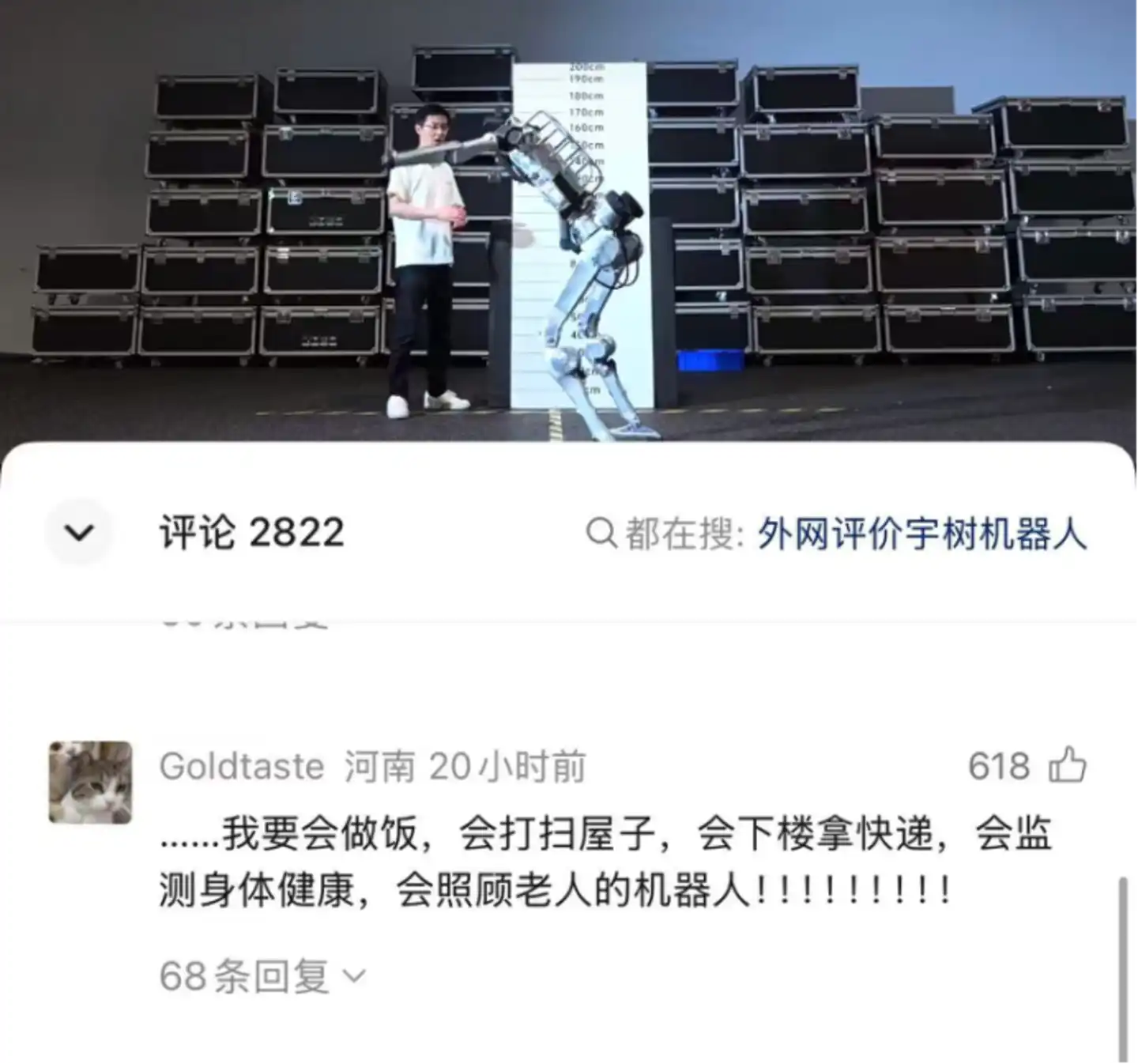 人形机器人