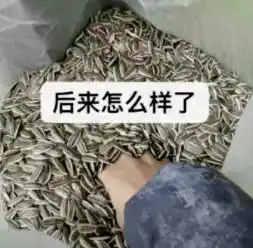 蛋白质设计