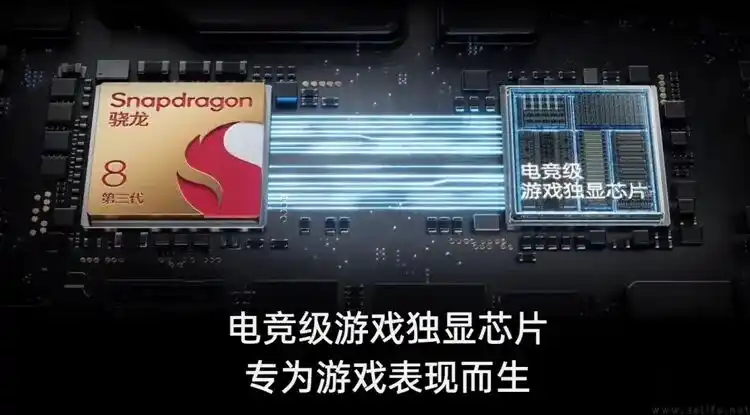 黑鲨