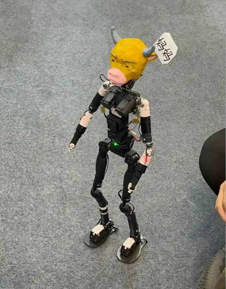 星动纪元