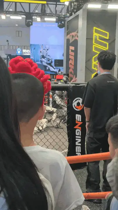 星动纪元