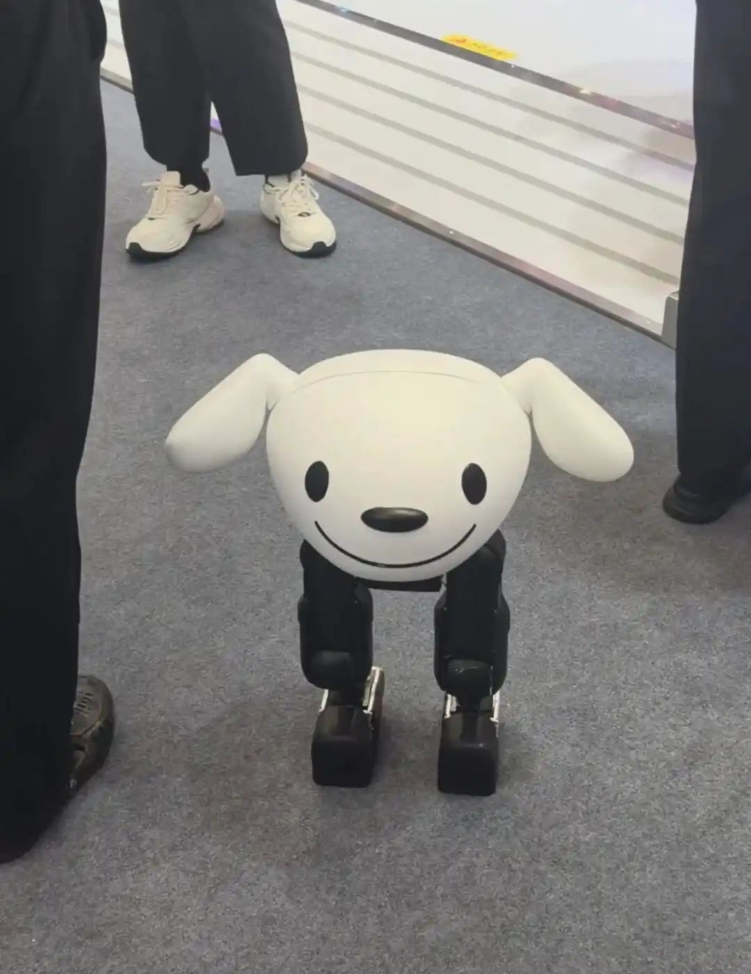 星动纪元