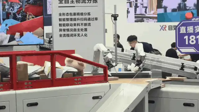星动纪元