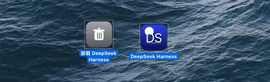 DeepSeek Harness