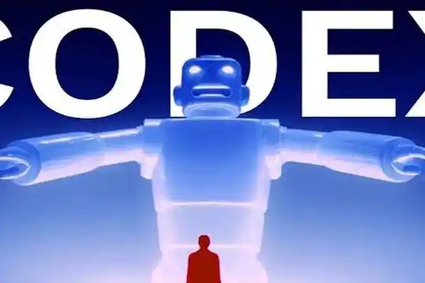 Codex,Claude Code,Anthropic