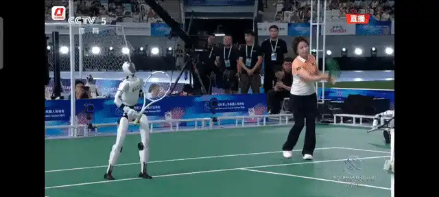 人形机器人