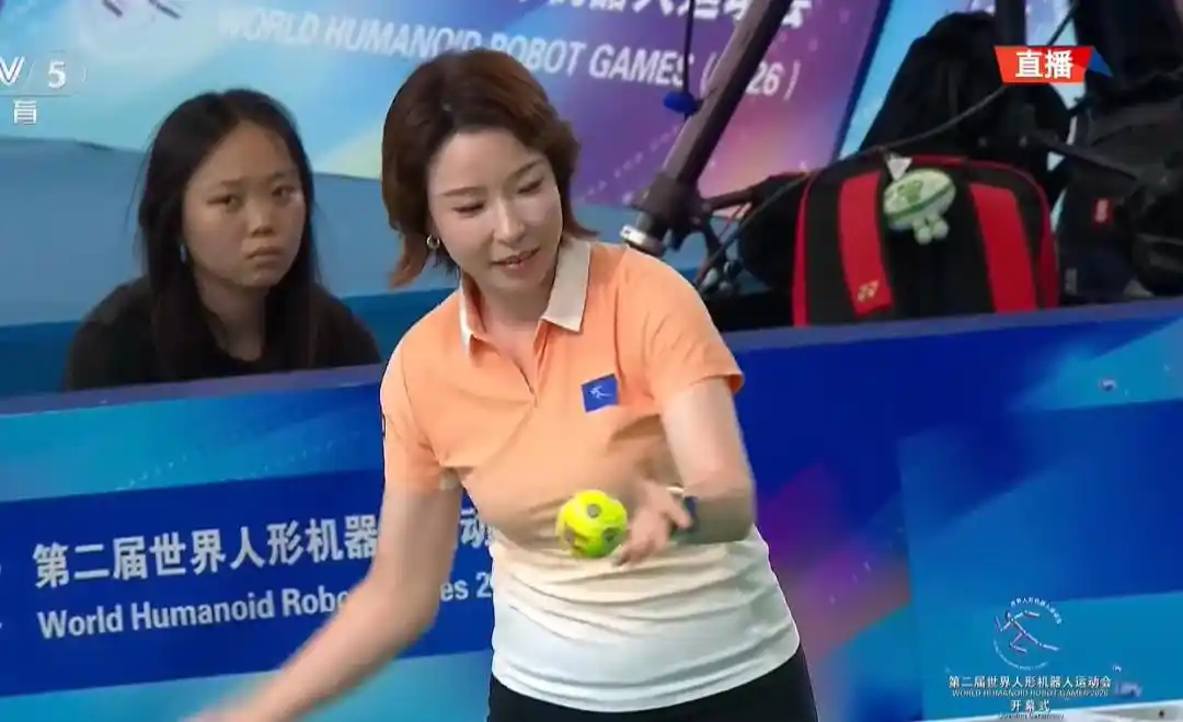 人形机器人