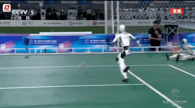 人形机器人