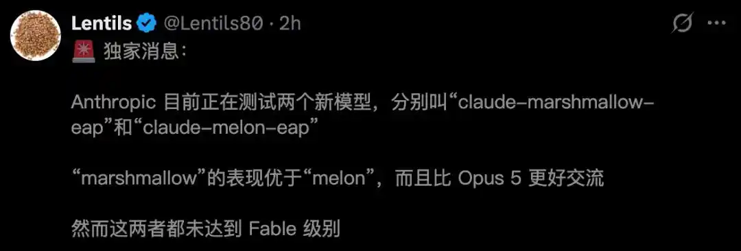 Anthropic新模型ID提前曝光,Fable 5企业采用率承压 7