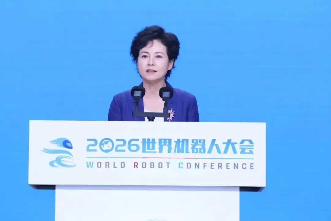 人形机器人